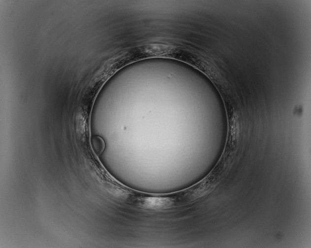 X0000115620371200911241629