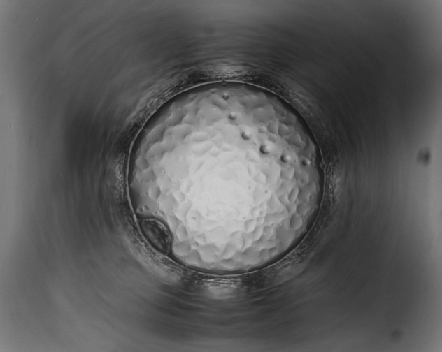 X0000115620373200911241629