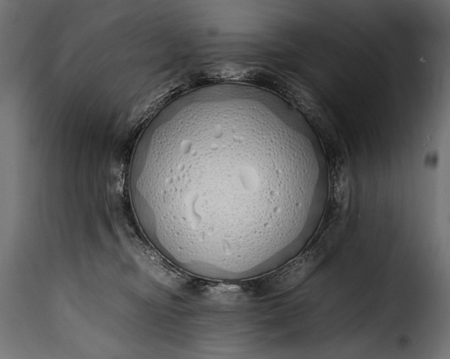 X0000115620374200911241629