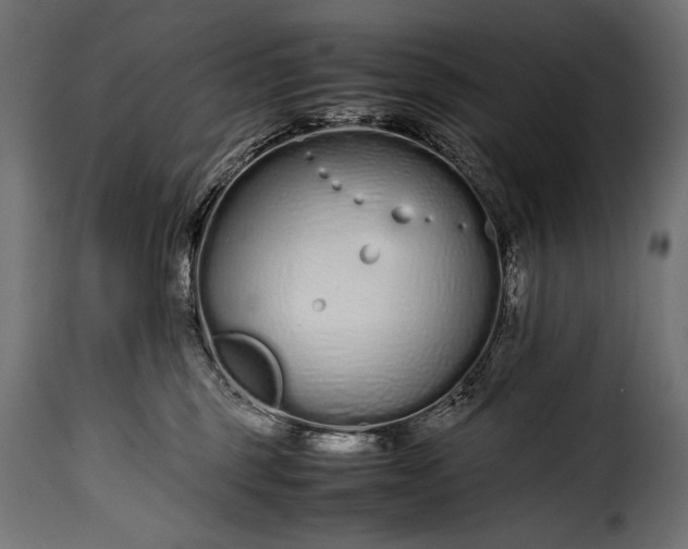 X0000115620375200911241629