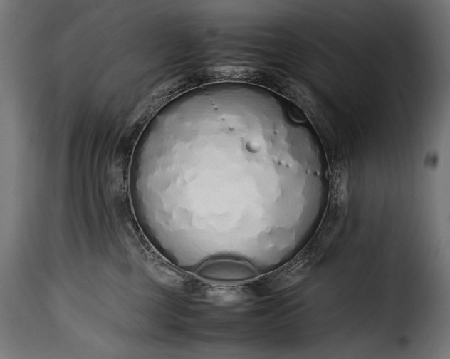 X0000115620377200911241629