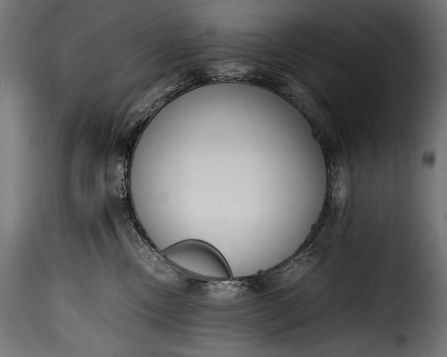 X0000115620378200911241629