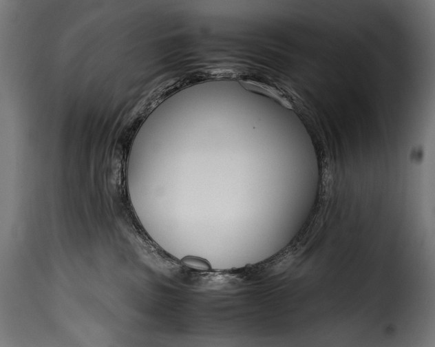 X0000115620379200911241629