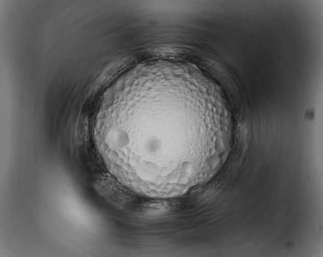 X0000115620381200911241629