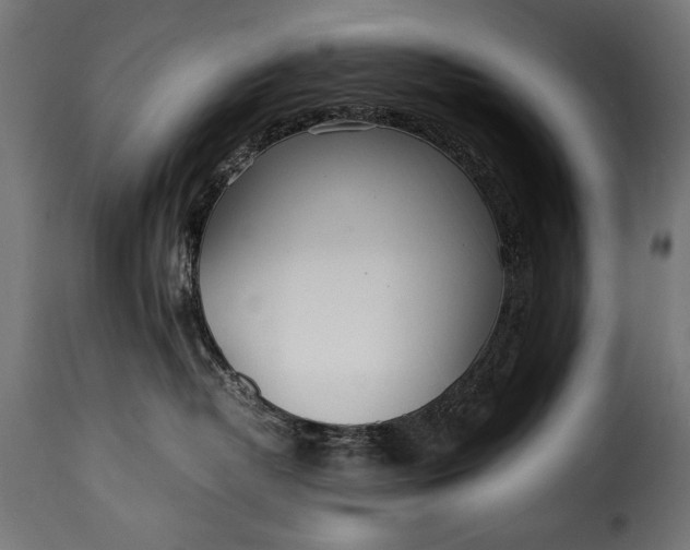 X0000115620382200911241629