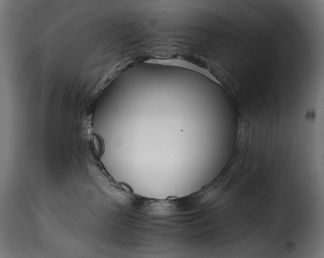 X0000115620383200911241629