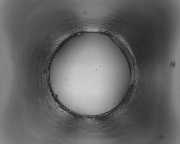 X0000115620385200911241629