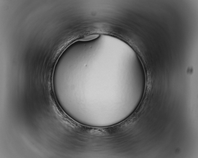 X0000115620386200911241629