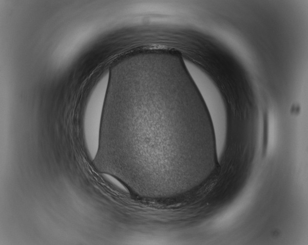 X0000115620387200911241629