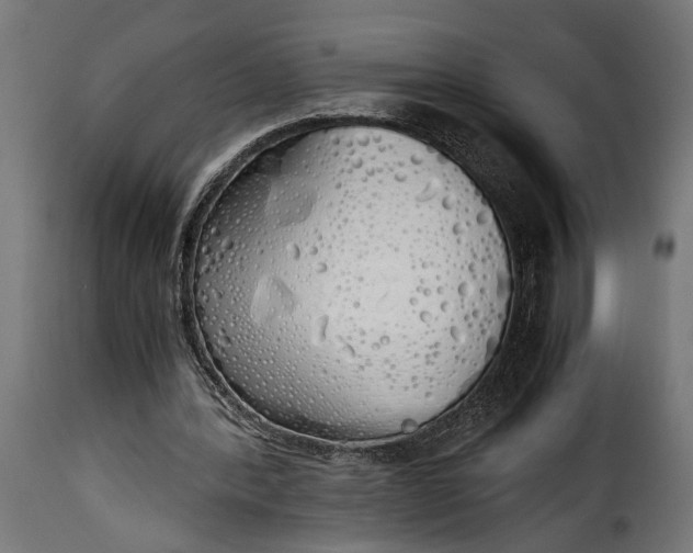 X0000115620388200911241629