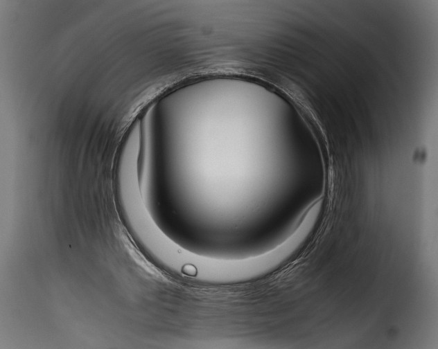 X0000115620389200911241629