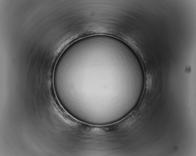 X0000115620390200911241629