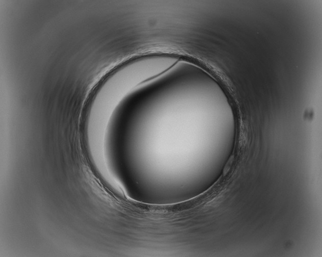 X0000115620391200911241629