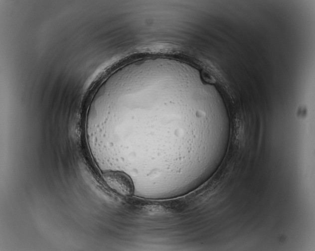 X0000115620392200911241629