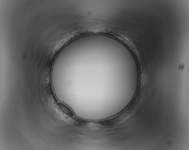 X0000115620393200911241629