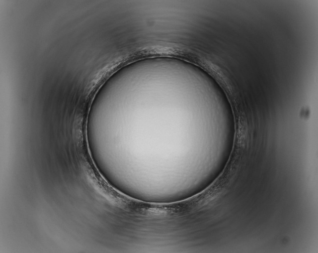 X0000115620394200911241629