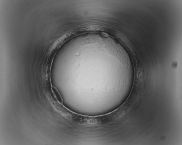 X0000115620395200911241629