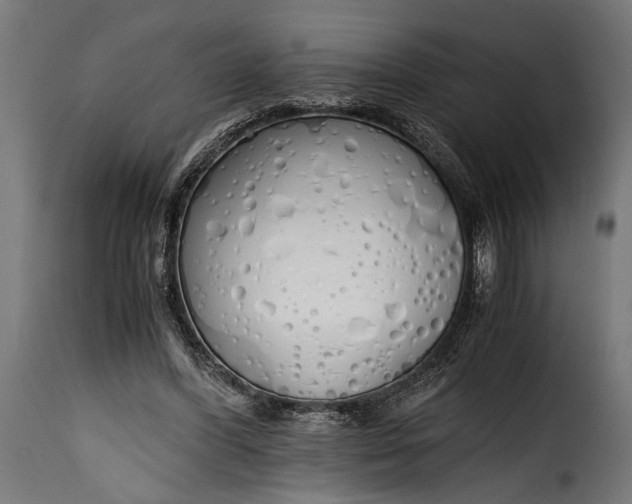 X0000115620396200911241629