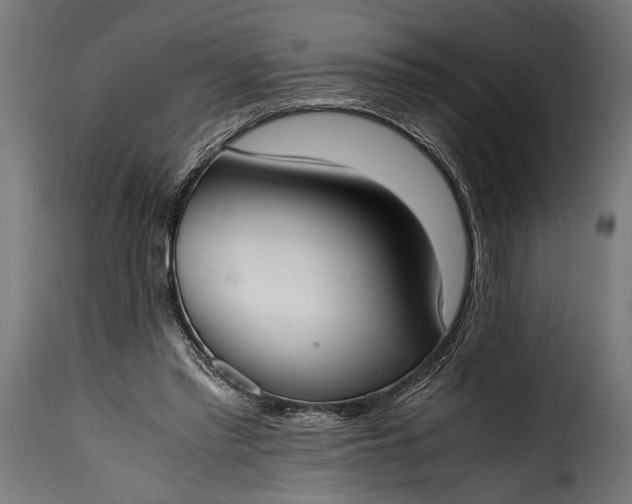 X0000115620397200911241629