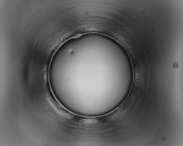 X0000115620398200911241628