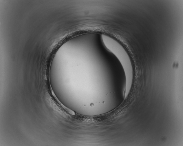 X0000115620399200911241628