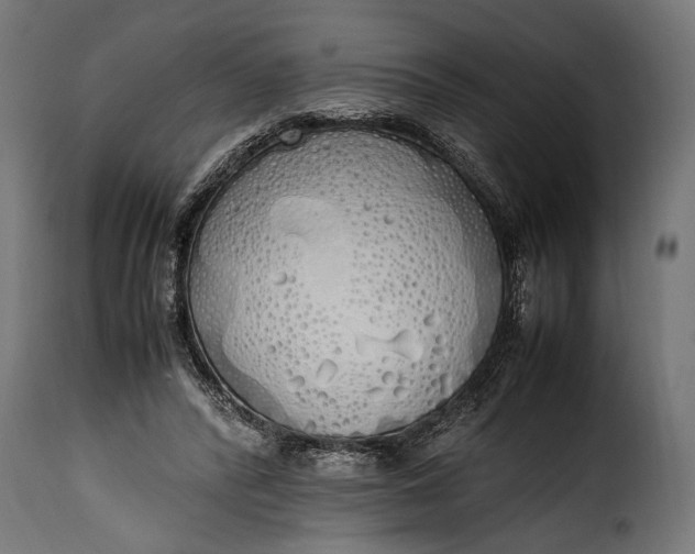 X0000115620400200911241628