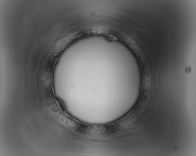 X0000115620401200911241628