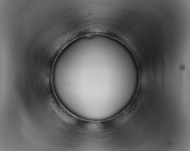 X0000115620402200911241628