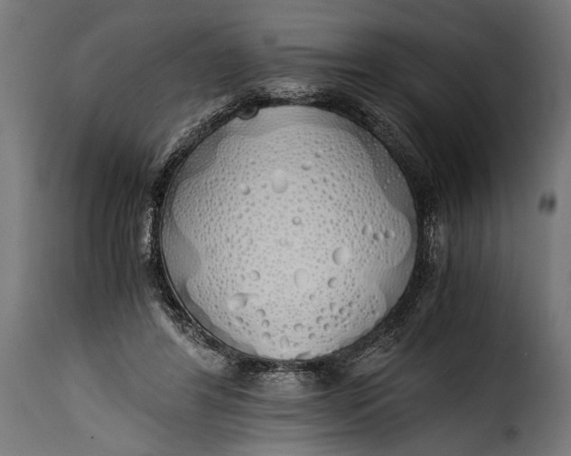 X0000115620404200911241628