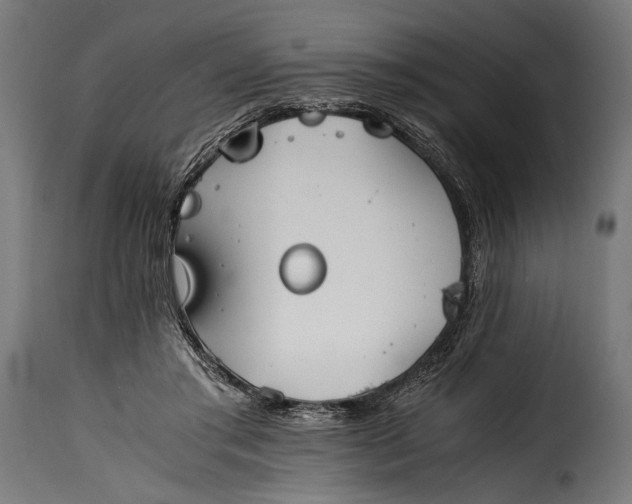 X0000115620405200911241628