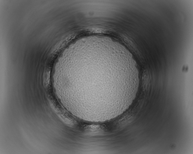 X0000115620406200911241628