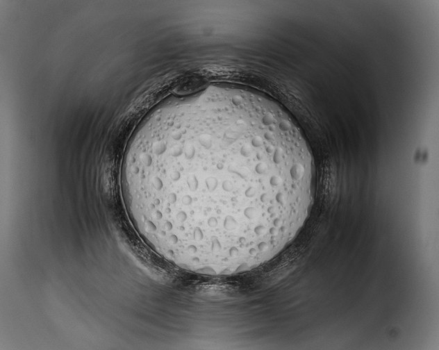 X0000115620408200911241628