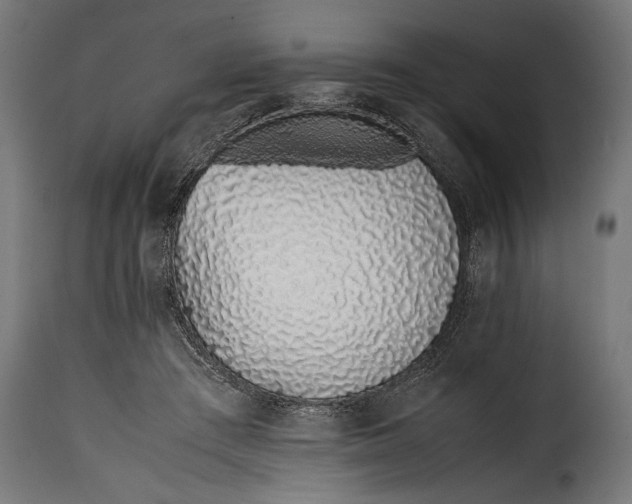 X0000115620409200911241628