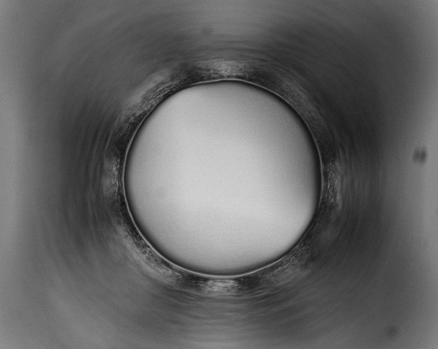 X0000115620410200911241628