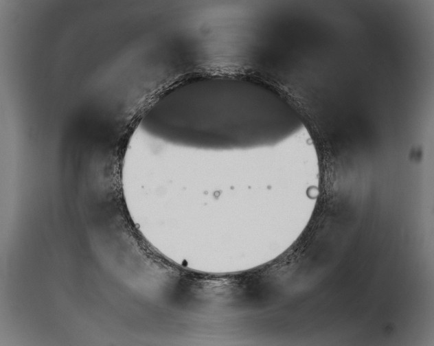 X0000115620411200911241628