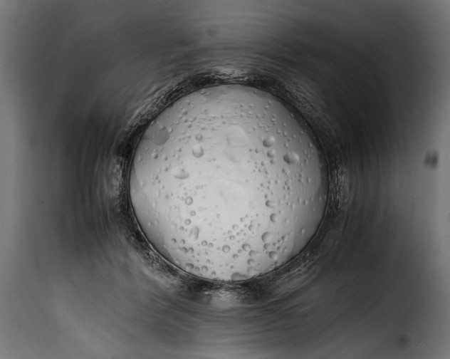 X0000115620412200911241628