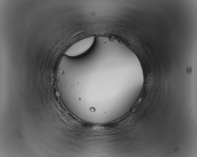 X0000115620413200911241628