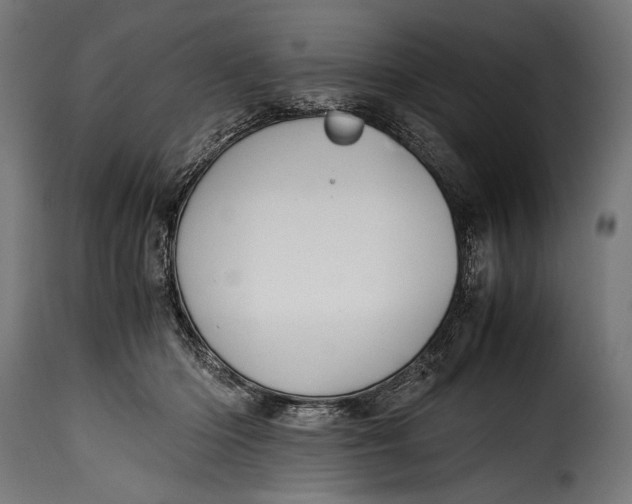 X0000115620414200911241628