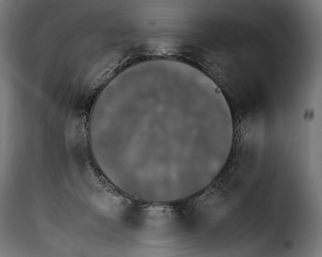 X0000115620415200911241628