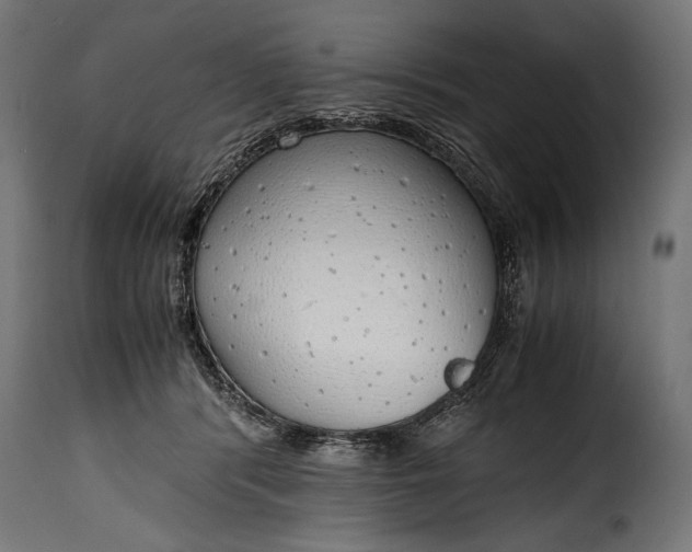 X0000115620416200911241628