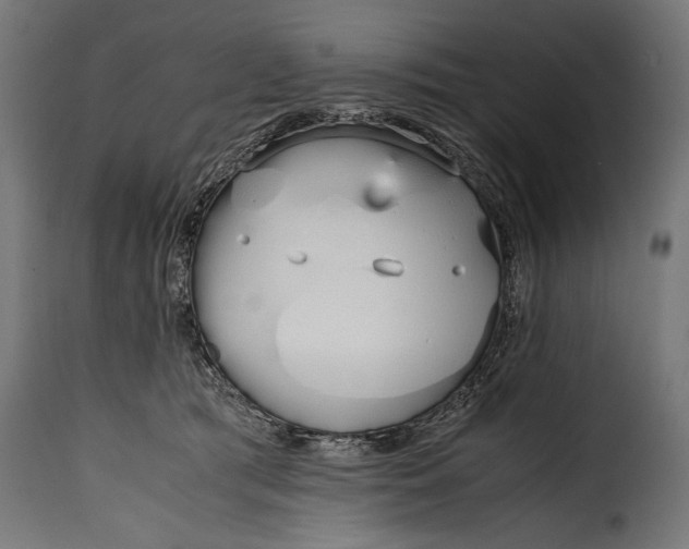 X0000115620417200911241628