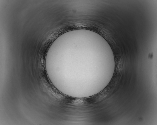 X0000115620418200911241628