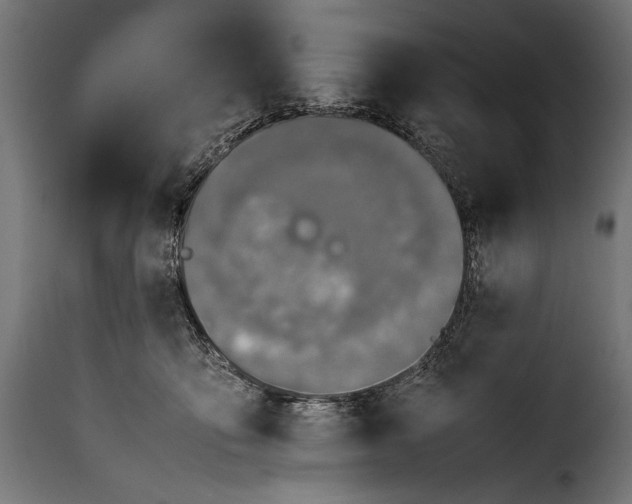 X0000115620419200911241628