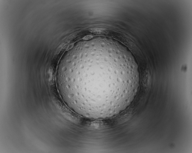 X0000115620420200911241628