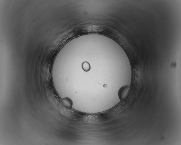 X0000115620422200911241628