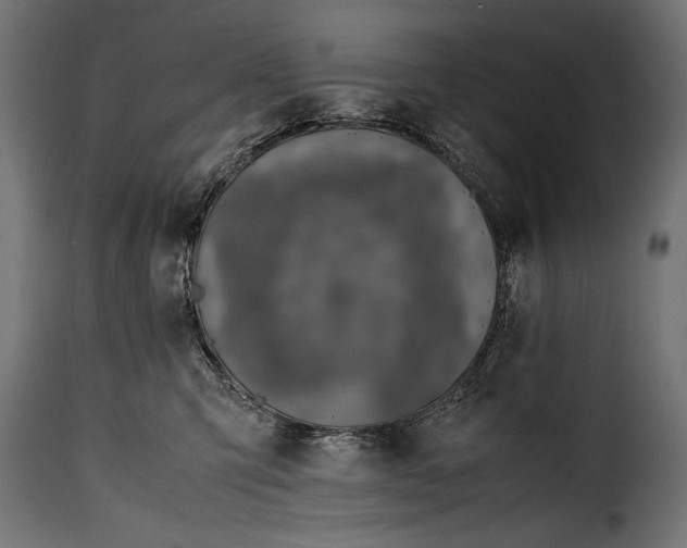 X0000115620423200911241628