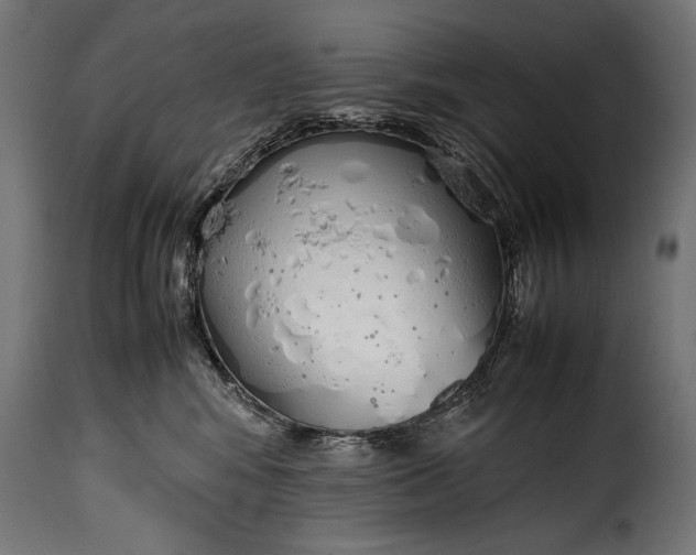 X0000115620424200911241628