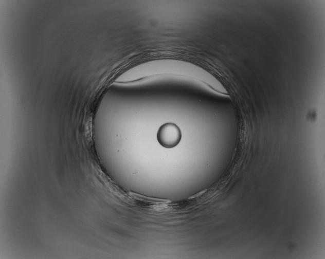 X0000115620425200911241628