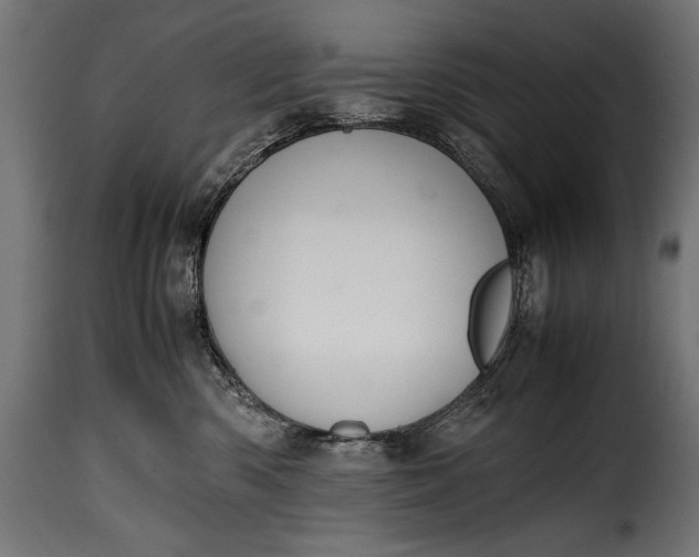 X0000115620426200911241628