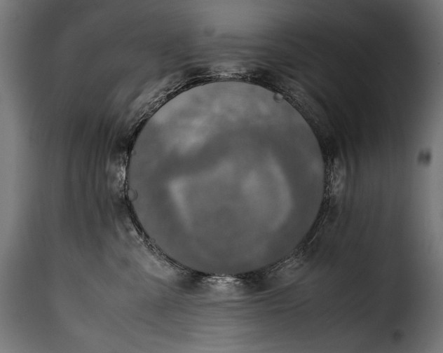 X0000115620427200911241628